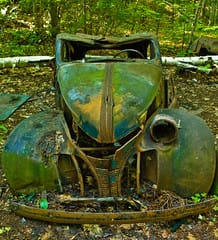 Naturaleza que se abre paso entre coches abandonados… ¿por qué no lo evitamos?