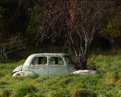 Abandoned