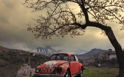 Cómo preparar tu coche para el otoño