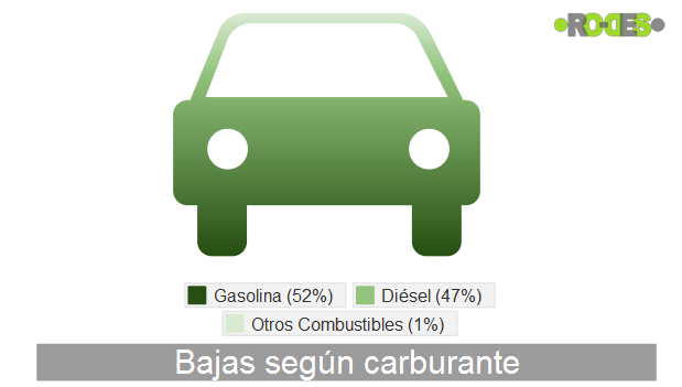 bajas definitivas según carburante