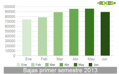 Bajas de vehículos en el primer semestre de 2013