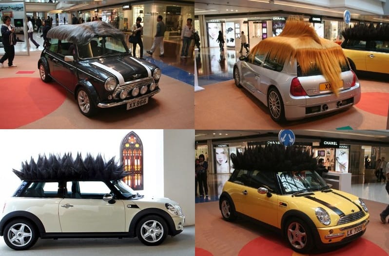 coches con pelo