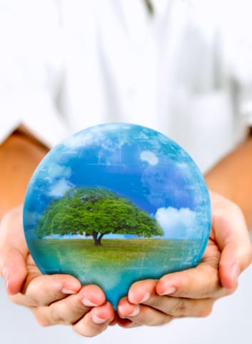 Medio ambiente