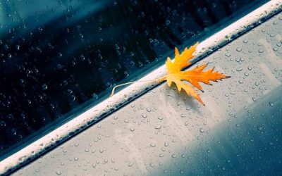 ¡Bienvenido otoño! Consejos para conducir seguro y mantener tu coche en buen estado