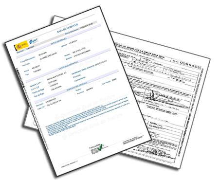 baja-certificado