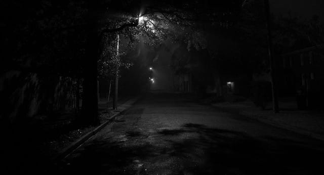 Through the Trees