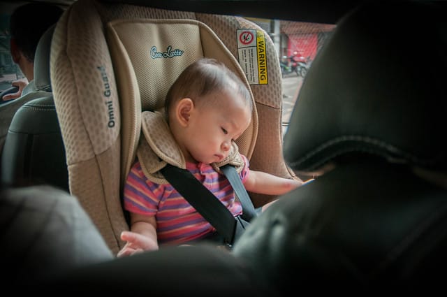 Charlize, napping in the car