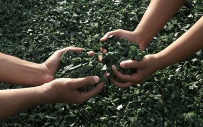 Neumáticos reciclados: Su segunda vida y nuevos usos