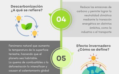Europa cede y permitirá la venta de coches de combustión que utilicen e-fuels a partir de 2035
