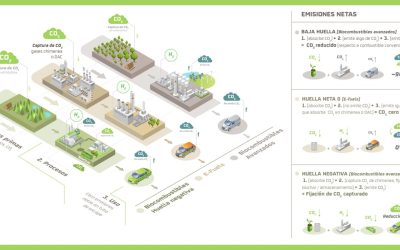 ¿Qué son los combustibles renovables? Lo que debes saber sobre los biocombustibles y sus tipos
