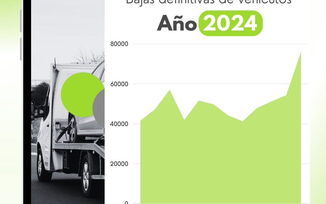 El «efecto diciembre»: Por qué todos dan de baja su coche el último mes del año